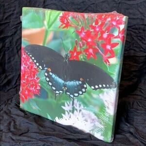 Whispers of a Butterfly Signed Photograph Print on Canvas Art Wall Hanging